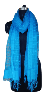Organza Dupatta silkzon.in
