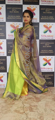 Tissue linen plane saree SILK ZONE