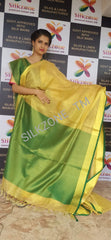 Tissue linen plain saree SILK ZONE
