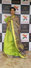 Tissue linen plane saree SILK ZONE