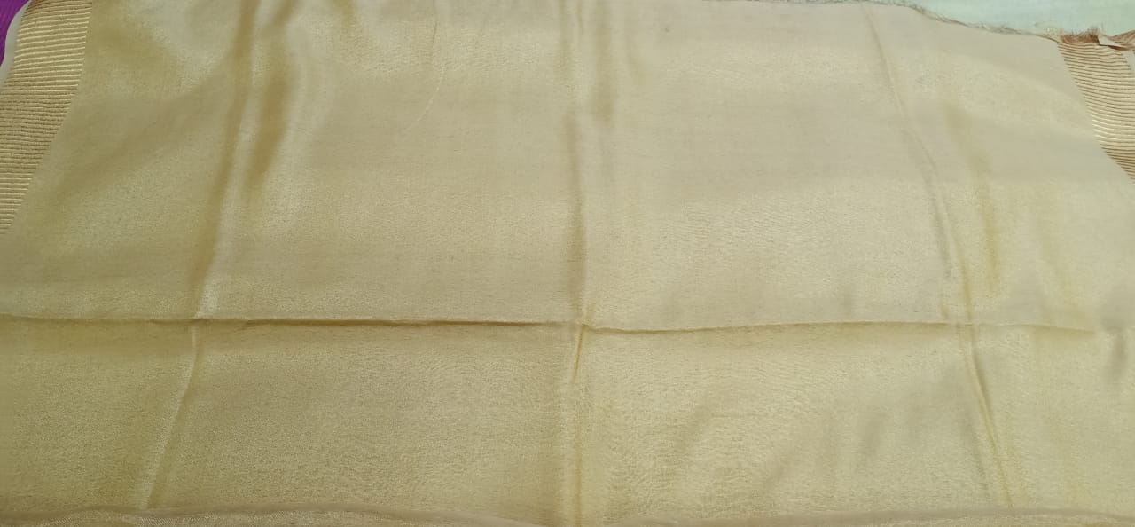 Tissue linen plain saree SILK ZONE